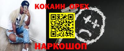 тгк Кингисепп