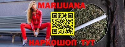 тгк Кингисепп