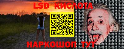тгк Кингисепп