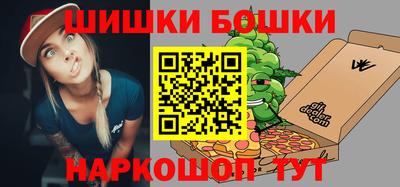 тгк Кингисепп