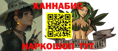 тгк Кингисепп