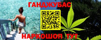 тгк Кингисепп