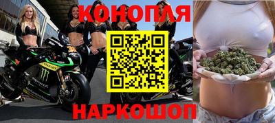 тгк Кингисепп