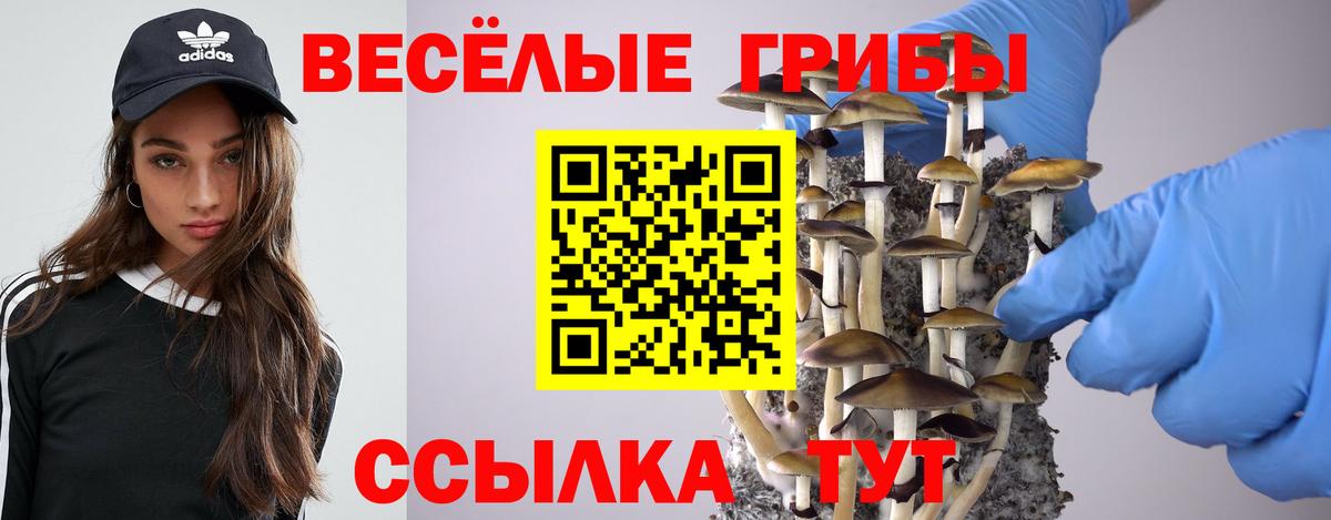 Галлюциногенные грибы Magic Shrooms  Вход с VPN  Каспийск  Псилоцибиновые грибы мухоморы 